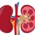 Profile picture of Kidney Dialysis Treatment