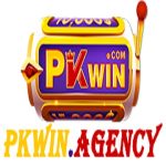 Profile picture of pkwinagency