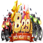 Profile picture of B29 Team