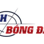 Profile picture of Lịch bóng đá