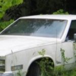 Profile picture of The Original Cash For Cars