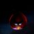 Profile picture of NotRedBird02