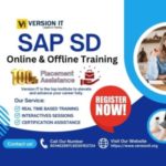 Profile picture of Versionit