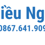 Profile picture of chothuexe thieunghia