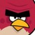 Profile picture of clusterbird12