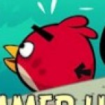 Profile picture of Red Bird