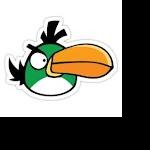 Profile picture of very angry bird