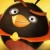 Profile picture of Angry bird manic