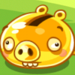 Profile picture of Sora the Golden Pig