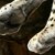Profile picture of leopardfeet