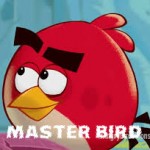 Profile picture of Master-Bird