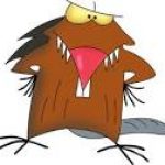 Profile picture of Angry Beaver