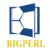 Profile picture of Bigperl Solution Pvt Ltd